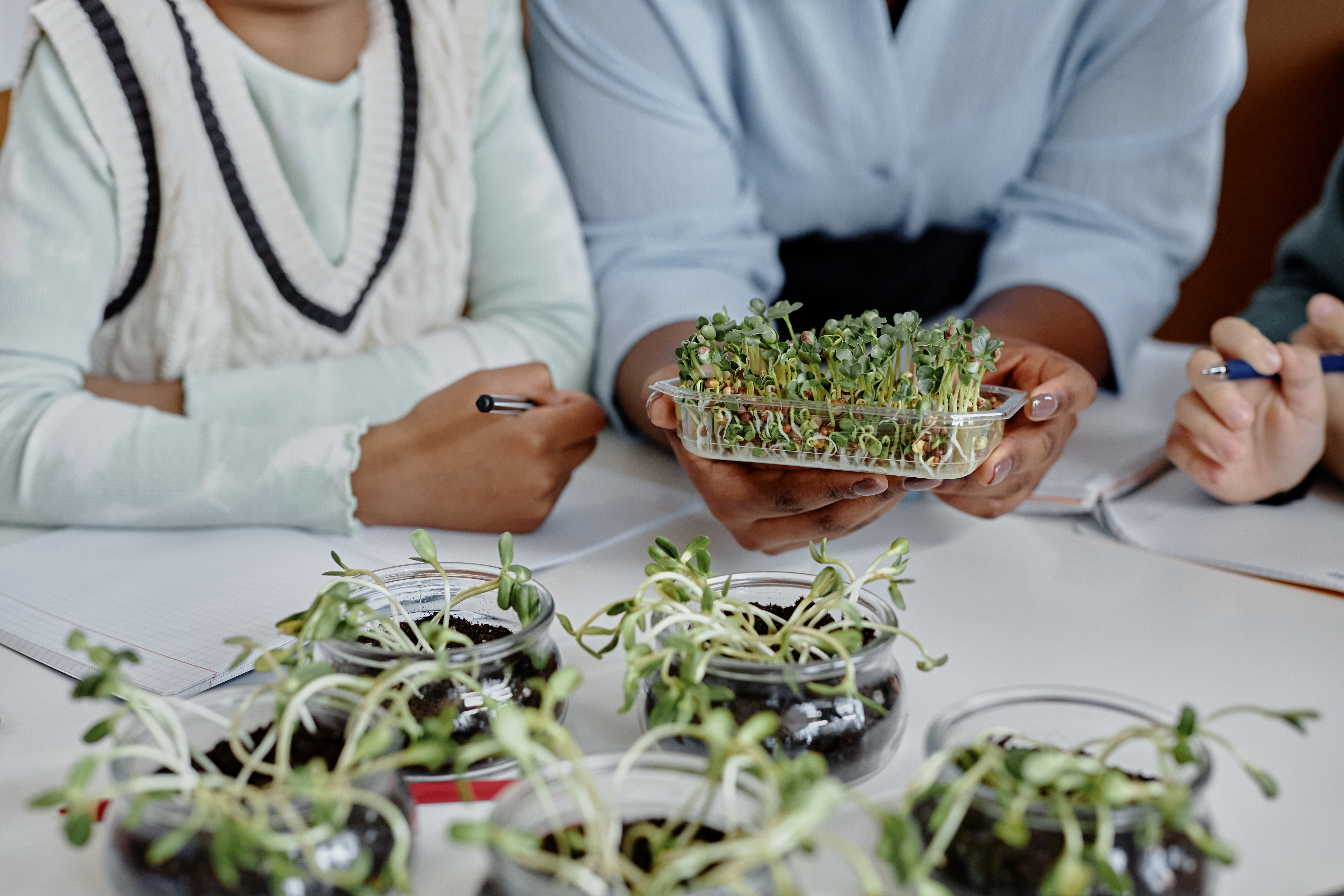 AgroTalk Mind: Convergência entre Educação e Agroindústria para um Futuro Sustentável